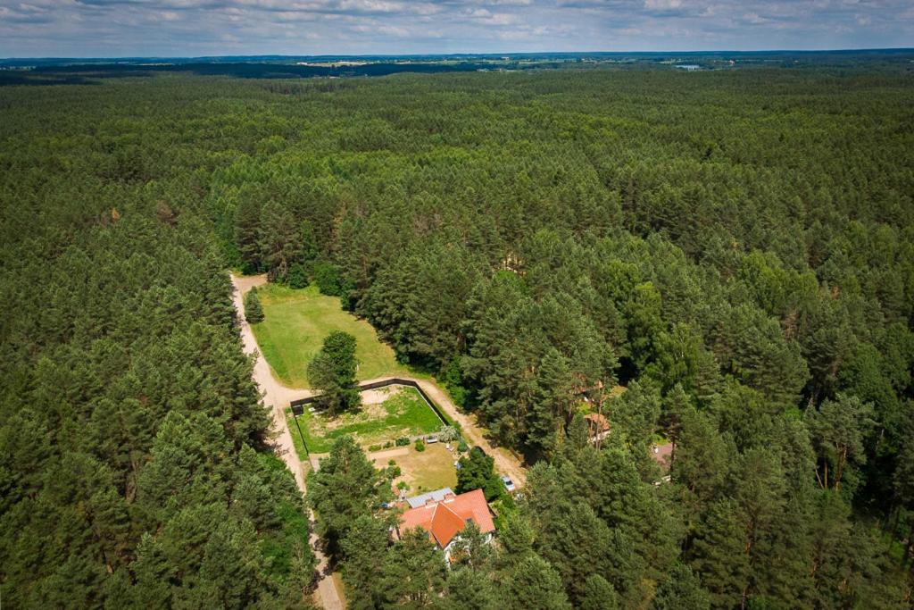 Mazurska Lesniczowka Nowy Zyzdroj Bed and Breakfast Exteriör bild
